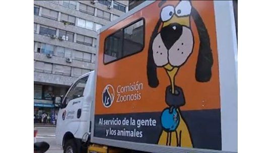 IM apunta a la castración obligatoria de perros enfermos