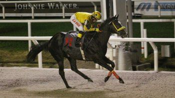 Subrayado | 11 MICRO TURF 23 D JUL