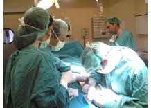 50 cirujanos de ASSE renunciarán por conflicto salarial