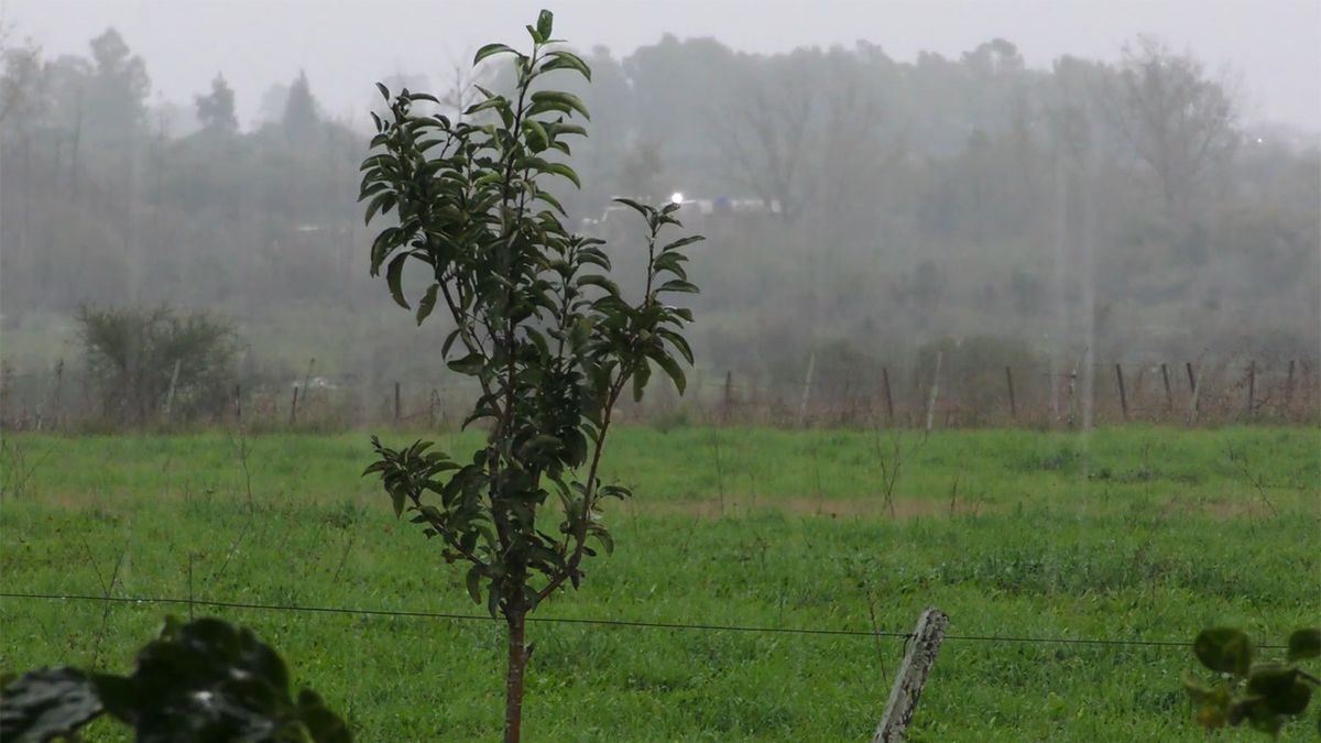 Rige doble advertencia de Inumet por lluvias: naranja y amarilla en varias zonas del país