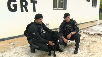 la historia de jari, la perra del k9 que encontro a un desaparecido, y el metodo particular de premiarla al ubicar a alguien