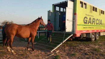 Subrayado | 7 MICRO TURF D2 D OCT