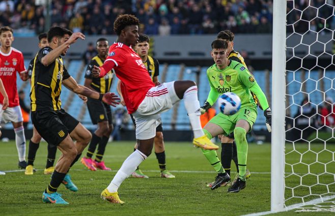 WhatsApp Image 2022-08-21 at 6.09.09 PM.jpeg