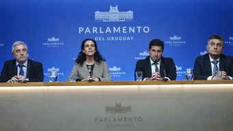 ministerio de economia presento la rendicion de cuentas ante la comision del senado