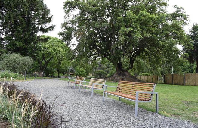 Foto: Intendencia de Montevideo