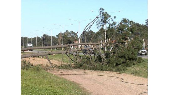 Arreglos durarán hasta 30 días en la costa canaria tras temporal