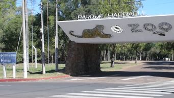 rapinaron al sereno del zoo de salto y le robaron un arma de fuego y dos cuchillos; intendencia investiga al trabajador