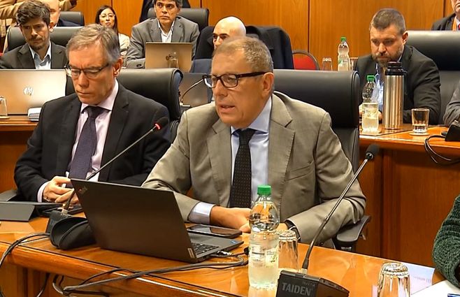 oddone-comisión-diputados-