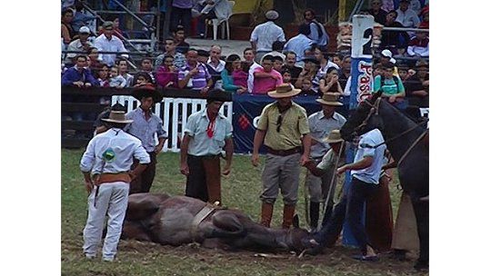 Abucheo en el Prado por maltrato a un caballo antes de jineteada