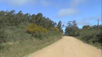 un hombre agredio a su pareja y se atrinchero con un arma en un monte de rocha