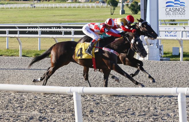 EL PRODIGO TURF (2).jpg