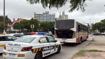 mujer de 70 anos bajo de un omnibus, trastabillo hacia la calle y fue atropellada: murio en una ambulancia