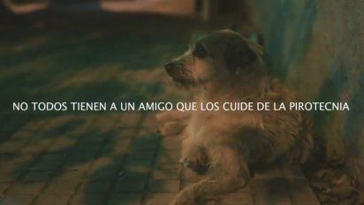 lanzan campana para proteger a las mascotas de la pirotecnia en las fiestas