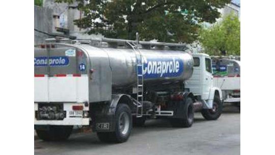 Conaprole tirará 37.000 kilos de crema por el conflicto