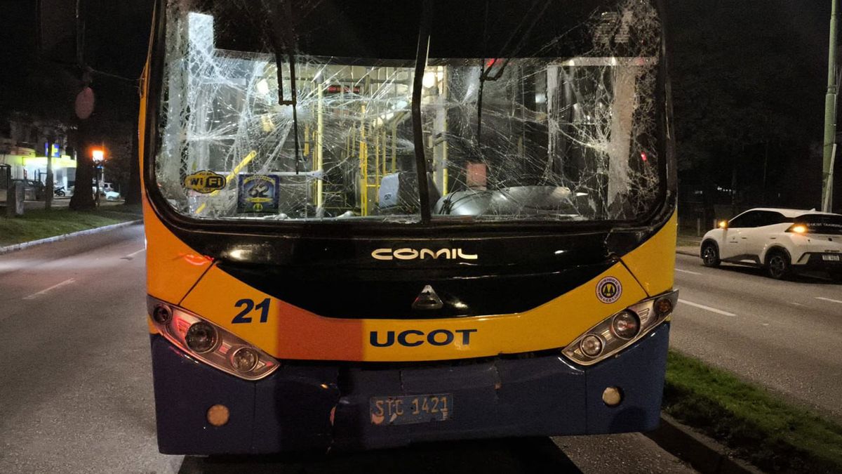 Se bajó del auto, golpeó al chofer del ómnibus, lo desmayó y escapó por la ventana: así fue la agresión al conductor de Ucot