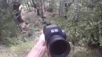 ong alerta por caza de especies prohibidas en semana de turismo y pide hacer las denuncias