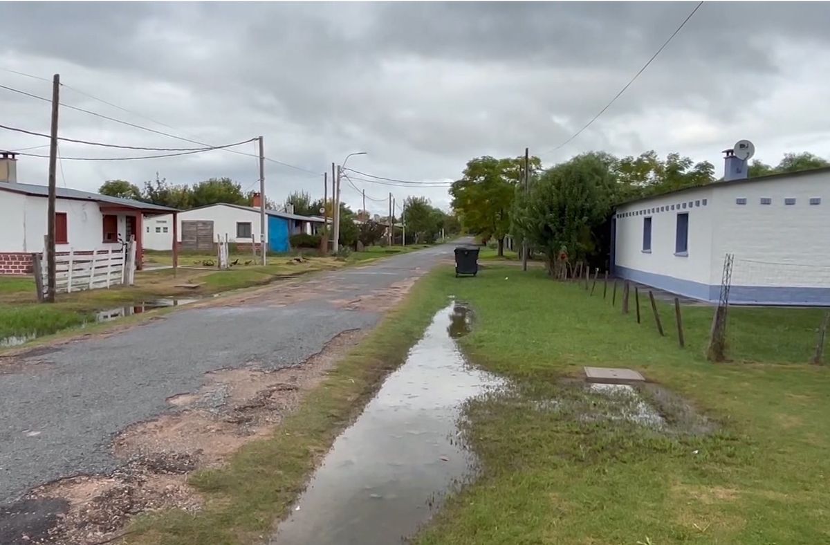 Detectaron irregularidades en libretas de conducir expedidas en San Javier y evalúan realizar denuncia a nivel penal