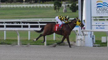 Subrayado | 12 MICRO TURF 25 D FEB