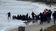 Sacrificaron a la orca en Punta del Este y la estudiarán para conocer causa de varamiento