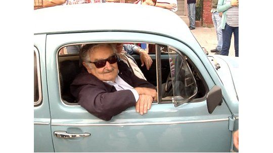 Mujica fusca letnes