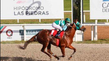 Subrayado | MIRO TURF 25 D MAY