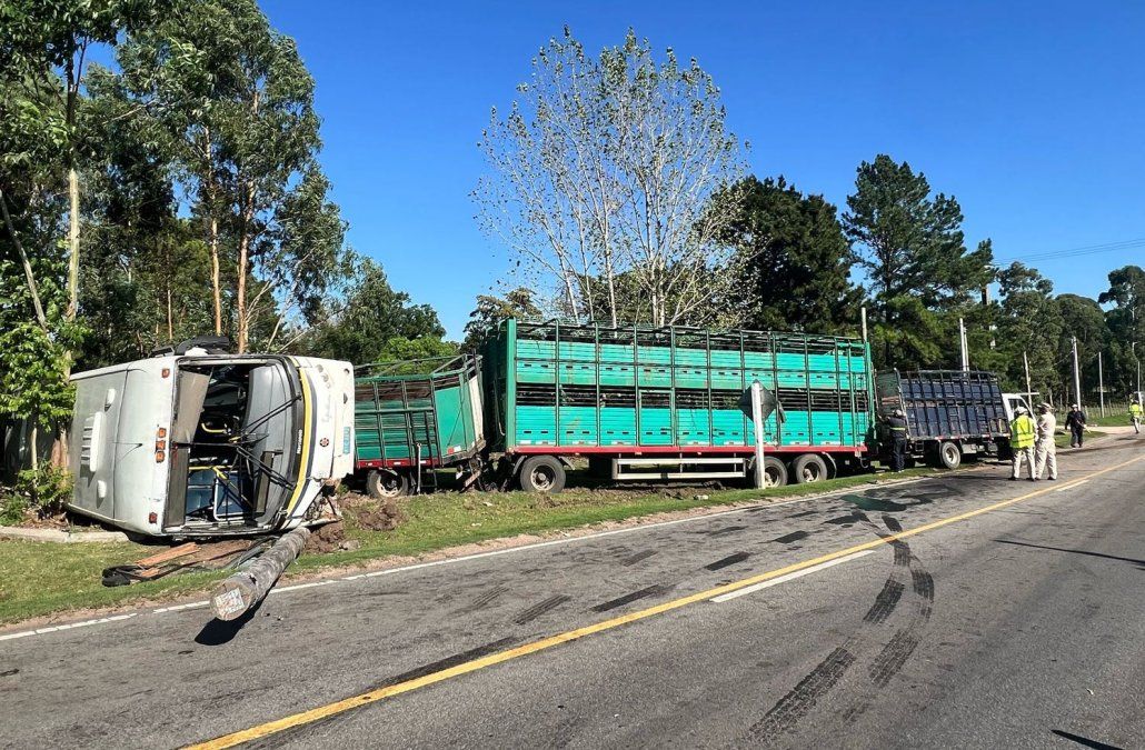 Foto: María Eugenia Scognamiglio, Subrayado. Foto: María Eugenia Scognamiglio, Subrayado.
