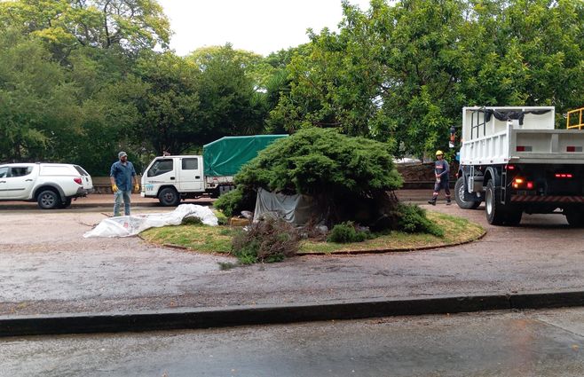 Foto: Lorena Nachajón, Subrayado.