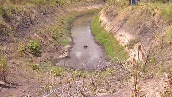 mgap instrumenta bateria de mas de 20 medidas para productores afectados por la sequia