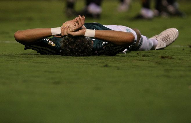 Palmeiras.jpg