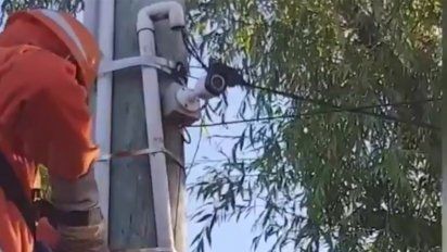 17 detenidos en megaoperativo contra el narcotrafico en tres ombues