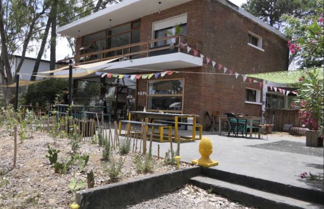 club-el-popu-la-barra-aglomeracion.jpg
