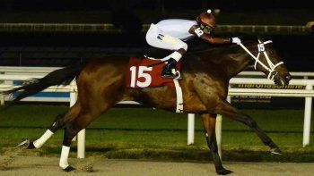 Subrayado | 10 MICRO TURF 30 D SET