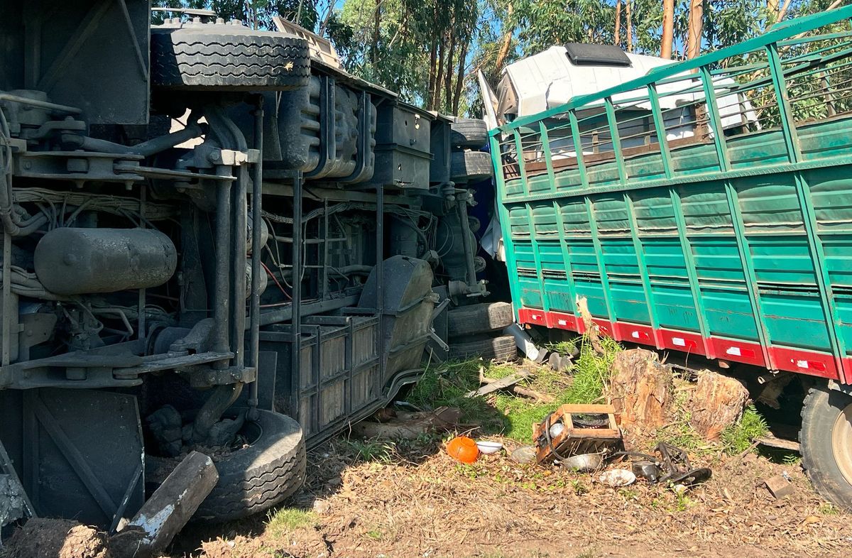 Foto: María Eugenia Scognamiglio, Subrayado. Foto: María Eugenia Scognamiglio, Subrayado.