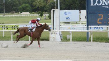 Subrayado | MICRO TURF 6 D DIC