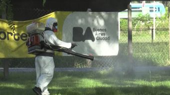 descubren mutacion genetica en mosquitos que los hace resistentes a los insecticidas