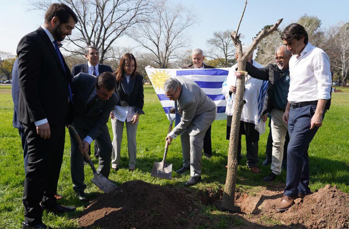 También en Argentina plantaron un ceibo para conmemorar la fecha. Foto: Twitter MRREE