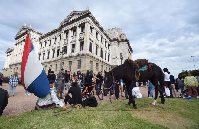 movilizacion palacio reforma (4).jpeg