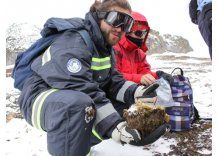 Uruguayos estudian el virus de la influenza en la Antártida