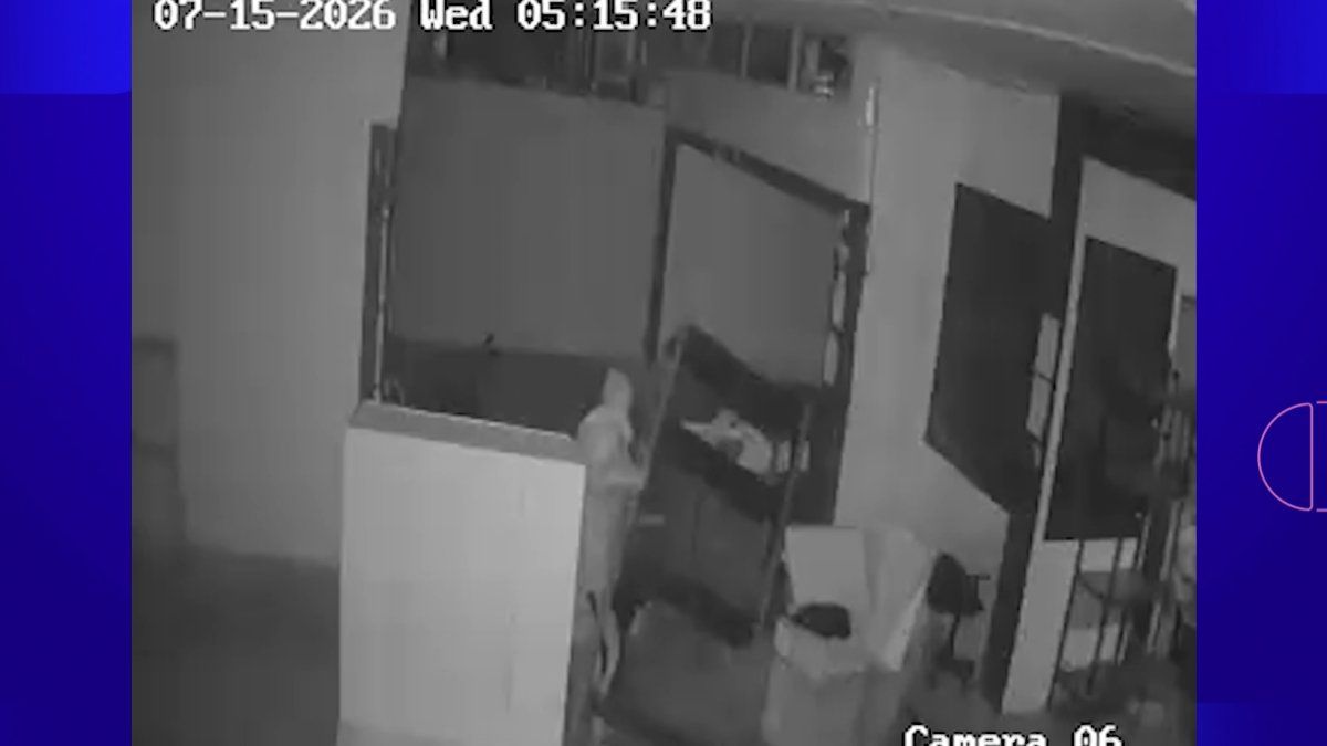 Comerciantes denuncian varios robos a su distribuidora: "Un día estuvieron de 11 de la noche a 4 de la mañana"