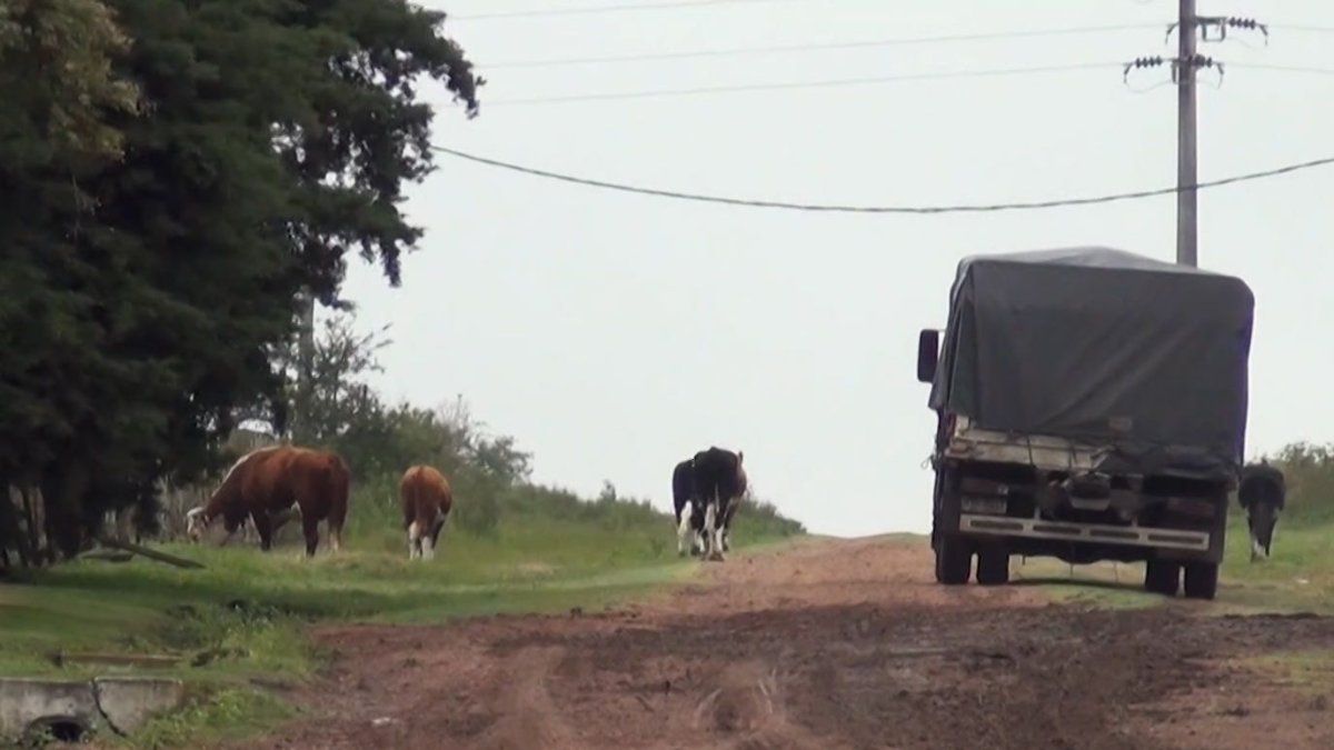 Rige advertencia amarilla por tormentas fuertes y lluvias abundantes en el norte del país