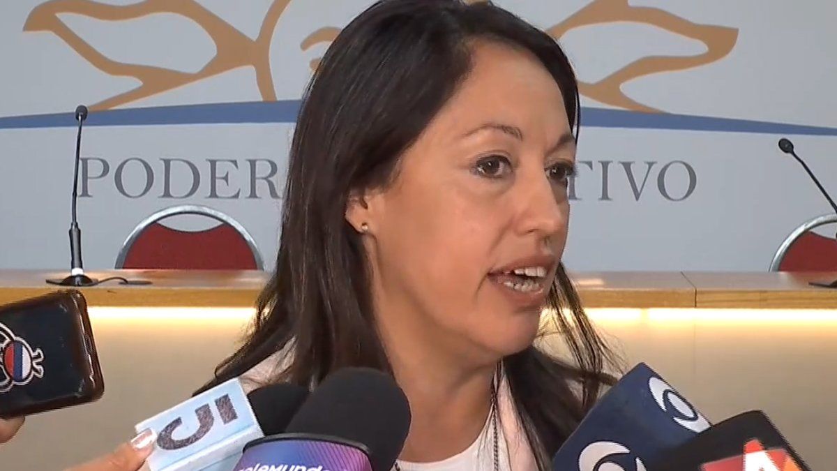 Ministra de Industria compareció a comisión de Diputados y anunció ¨plan de acción¨ para negocio del portland