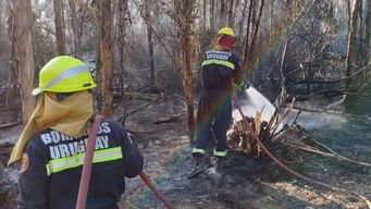 Foto: Bomberos. Bomberos informó que todos los incendios están controlados y que no tienen llamas visibles.&nbsp;