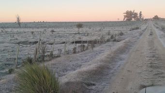 Heladas en el interior del país, Juan Soler, 2 de julio. Foto: enviada a Subrayado.