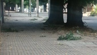 Foto cedida a Subrayado. Inmediaciones de Carlos Reyles y Anollés donde fue apuñalada la víctima.