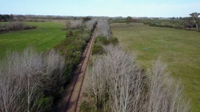 finaliza plazo de llamado para reconstruir el ferrocarril 