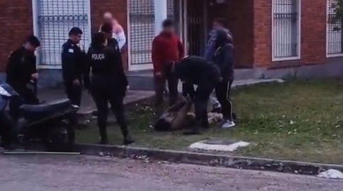 Arresto ciudadano en la ciudad de Salto.