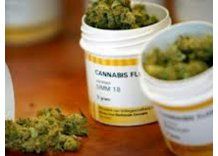 Canadá, el primer interesado en adquirir la marihuana uruguaya