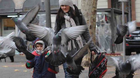 Sábado frío, con sensaciones térmicas bajas: mirá el pronóstico para el fin de semana