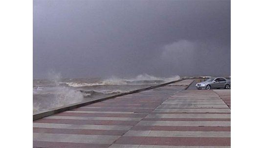 Lluvia, viento fuerte y árboles caídos pautaron la jornada