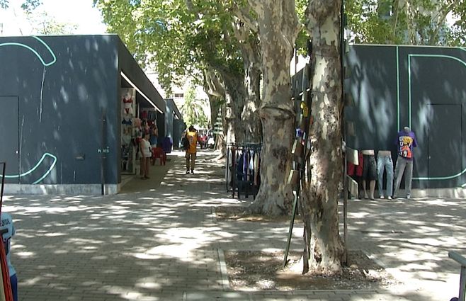 techitos-verdes-montevideo-feria-ventas